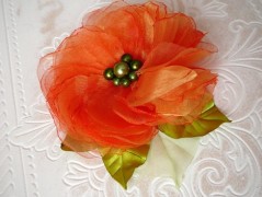 Nebesky modra rouška riflová.