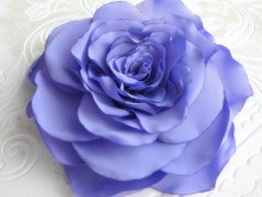 Nebesky modra rouška riflová.