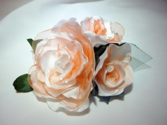 Nebesky modra rouška riflová.