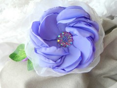 Nebesky modra rouška riflová.