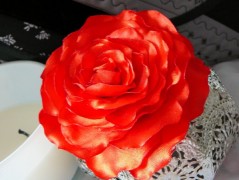 Nebesky modra rouška riflová.