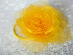 Nebesky modra rouška riflová.