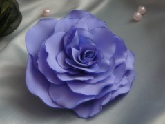 Nebesky modra rouška riflová.