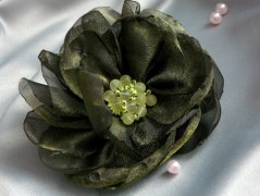 Nebesky modra rouška riflová.