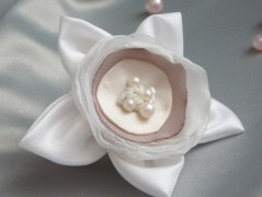 Nebesky modra rouška riflová.