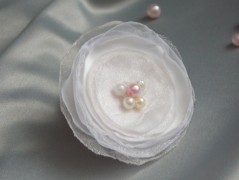 Nebesky modra rouška riflová.