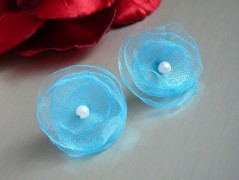 Nebesky modra rouška riflová.