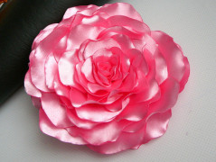 Nebesky modra rouška riflová.