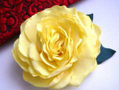 Nebesky modra rouška riflová.