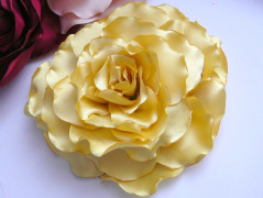 Nebesky modra rouška riflová.