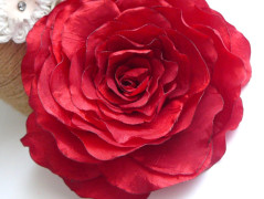 Nebesky modra rouška riflová.