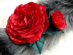 Nebesky modra rouška riflová.