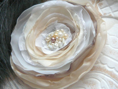 Nebesky modra rouška riflová.