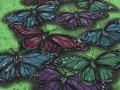 Butterfly 2, vel. XL
