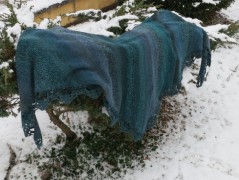 dámská originální čepice