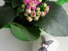 Lžička s autobusem.