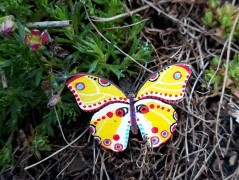 Náušnice- Večerní trubadůři