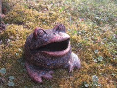 Malý princ i
