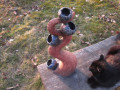 Strom ii