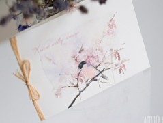 Blahopřání *Barevno*