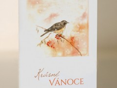 Blahopřání *Barevno*