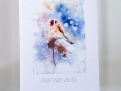 Blahopřání *Barevno*