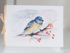 Blahopřání *Barevno*