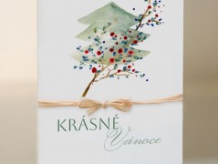 Blahopřání *Barevno*