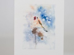 Blahopřání *Barevno*