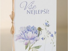 Blahopřání *Barevno*