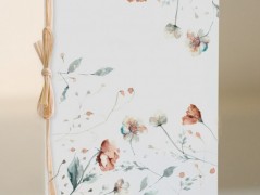 Blahopřání *Barevno*