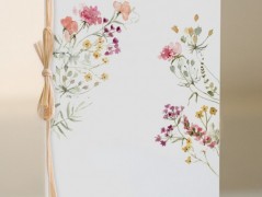 Blahopřání *Barevno*