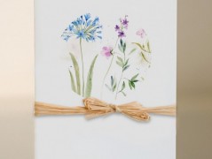 Blahopřání *Barevno*