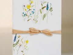 Blahopřání *Barevno*