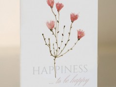 Blahopřání *Barevno*