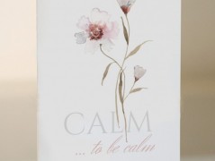 Blahopřání *Barevno*