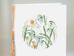 Blahopřání *Barevno*