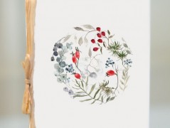 Blahopřání *Barevno*