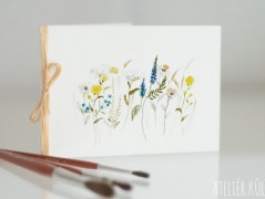 Blahopřání *Barevno*