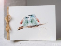 Blahopřání *Barevno*