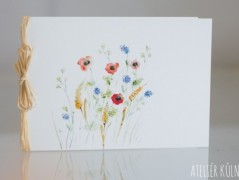 Blahopřání *Barevno*