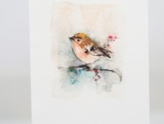 Blahopřání *Barevno*