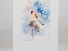 Blahopřání *Barevno*