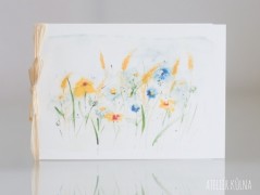 Blahopřání *Barevno*