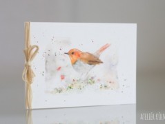 Blahopřání *Barevno*