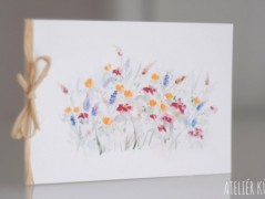 Blahopřání *Barevno*