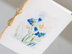 Blahopřání *Barevno*