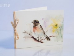 Blahopřání *Barevno*