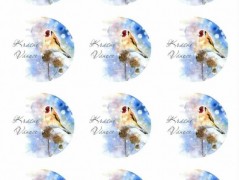 Blahopřání *Barevno*