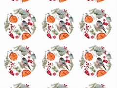 Blahopřání *Barevno*